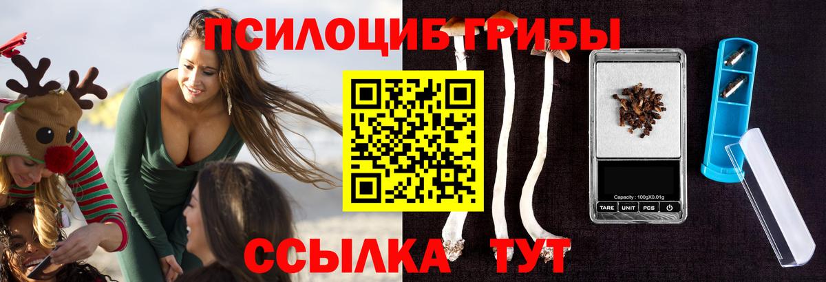 Янаул  Галлюциногенные грибы Psilocybe  Вход с VPN 
